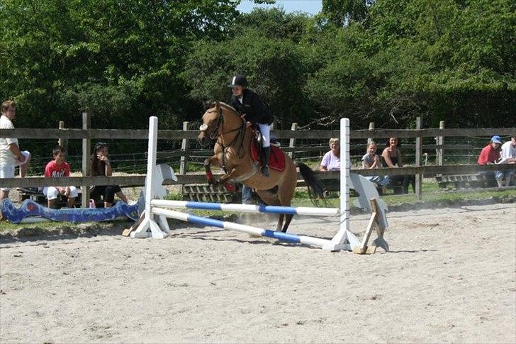 Anden særlig race Smukke Pocahontas!<3 - Til spring-stævne<3 billede 16