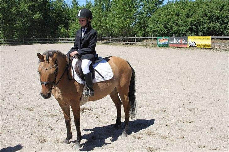 Anden særlig race Smukke Pocahontas!<3 - 
Dressur stævne.
vi fik en 4 plads :-D billede 7
