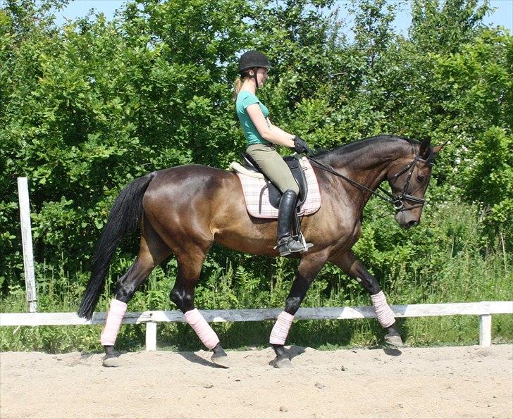 Holstener Enghøjs Minuet billede 11