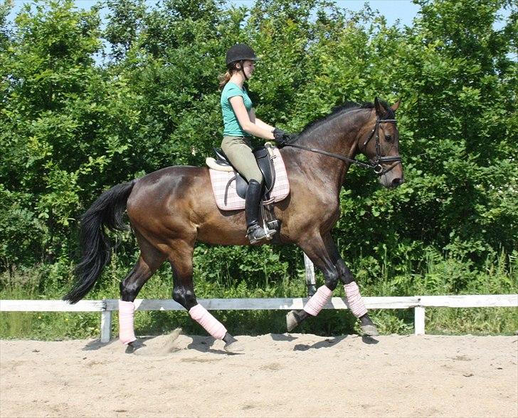 Holstener Enghøjs Minuet billede 12