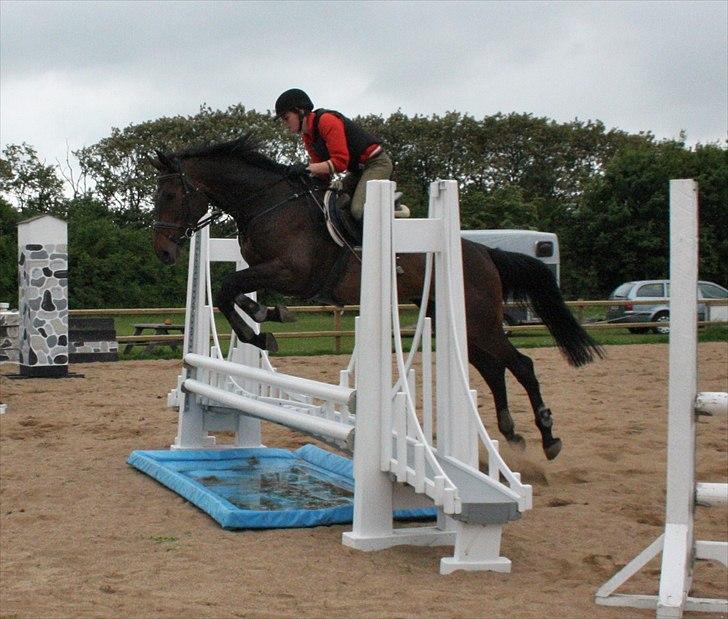 Holstener Enghøjs Minuet billede 13