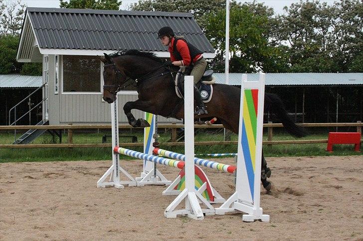 Holstener Enghøjs Minuet billede 14