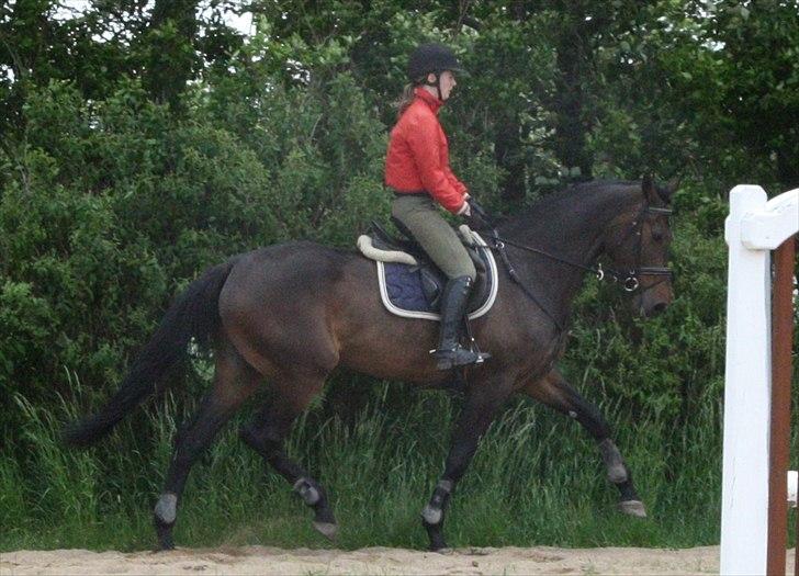 Holstener Enghøjs Minuet billede 15