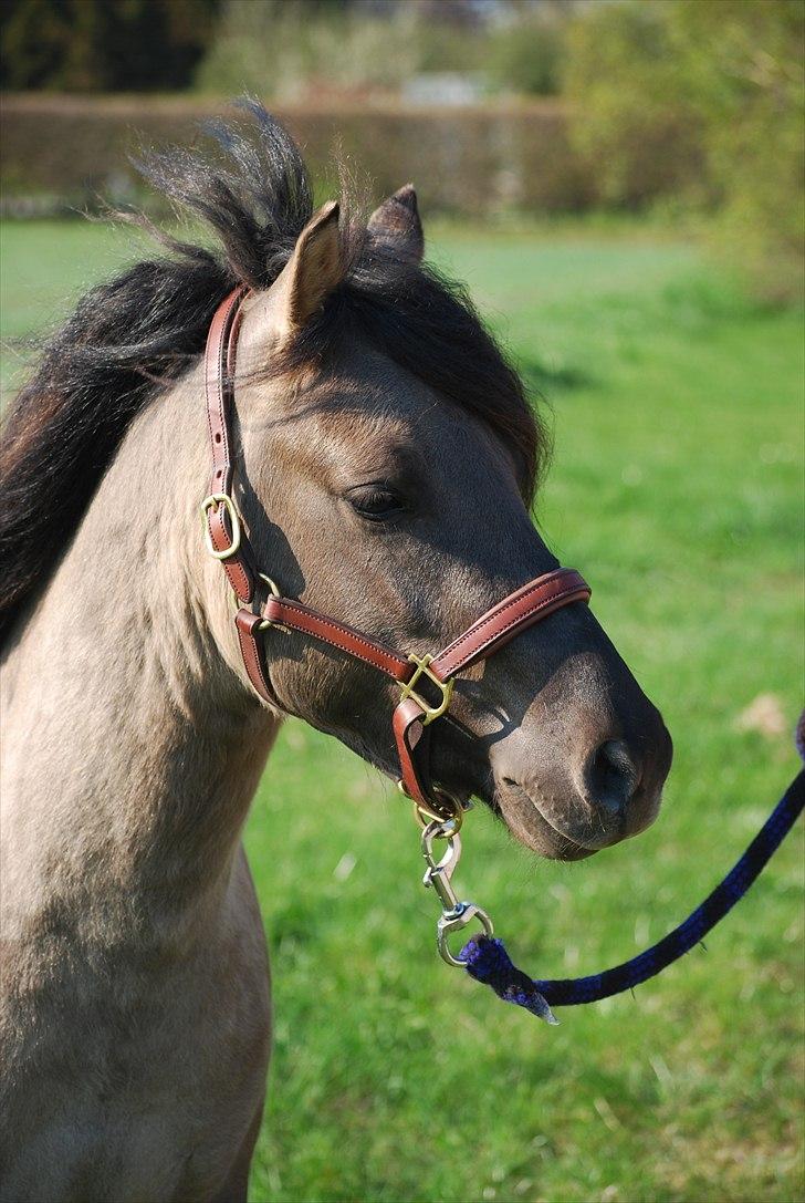 Anden særlig race Luffe  - Velkommen til Luffe-dyrets profil : )

Billedet her er fra April 2011. 2 år. billede 1