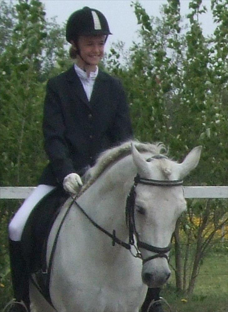 Connemara Bakkedals Bounty  billede 11