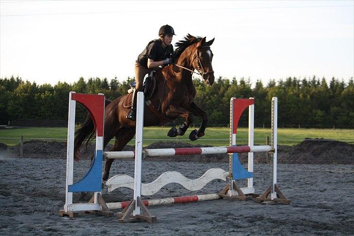 Oldenborg Egelund Nova - Springtræning på Tronsø på den nye udendørsbane.
Fotograf: Hanne Pedersen :D billede 14