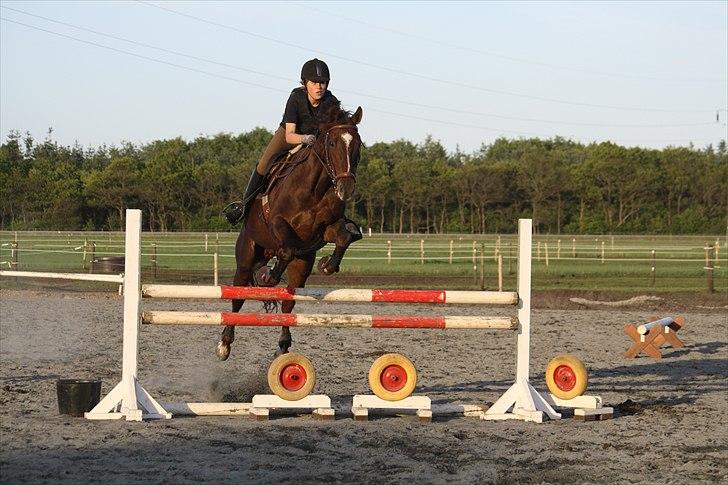Oldenborg Egelund Nova - Springtræning på Tronsø på den nye udendørsbane.
Fotograf: Hanne Pedersen :D billede 15