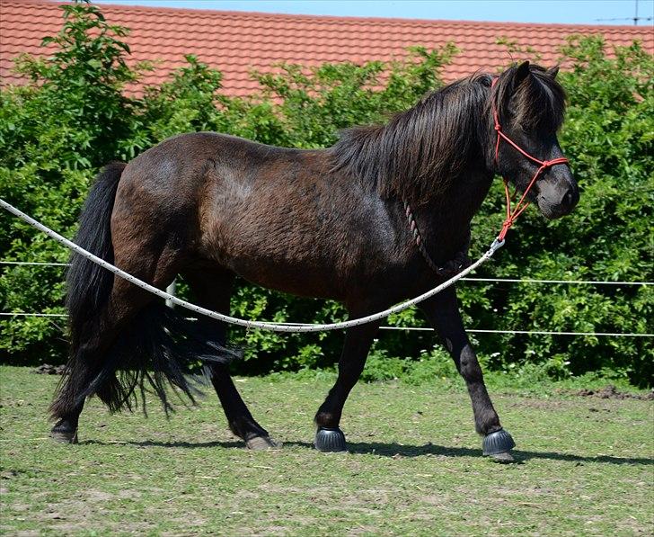 Islænder Steina <3 - Det tager kun ét sekundt at sige 'Jeg elsker dig', men det tager en livstid at vise det. Longering. :-* //foto: Nanna <3. billede 14