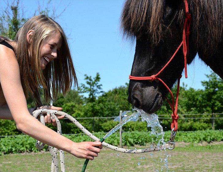 Islænder Steina <3 - At forstå hinanden er ikke så vigtigt som at acceptere hinanden. Vandpjaskeri en sommer dag :-D. //foto: Nanna <3. billede 13