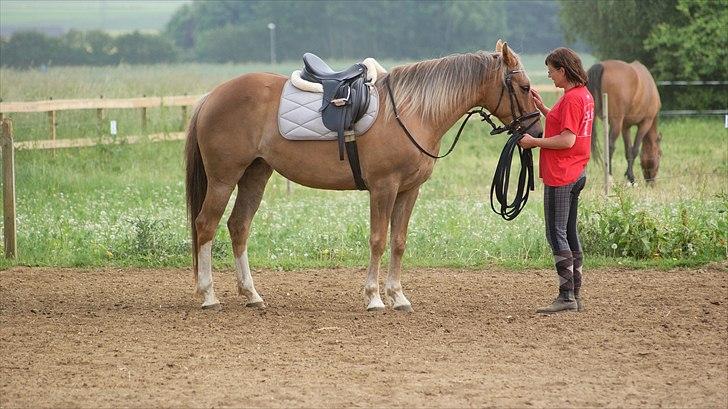 Anden særlig race Chiquita - Fra fuld fart til i ro. Helt uden problemer. billede 4