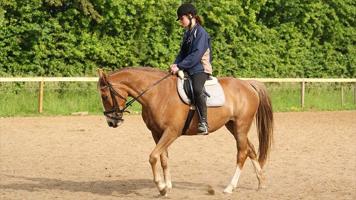 Anden særlig race Chiquita - Kamilla skulle naturligvis også lige prøve. billede 6