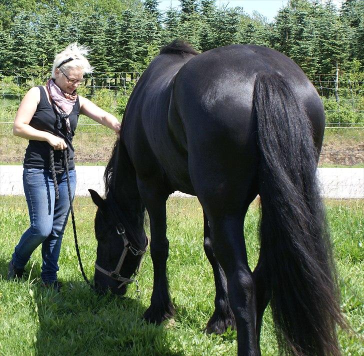 Frieser Victoria D billede 7