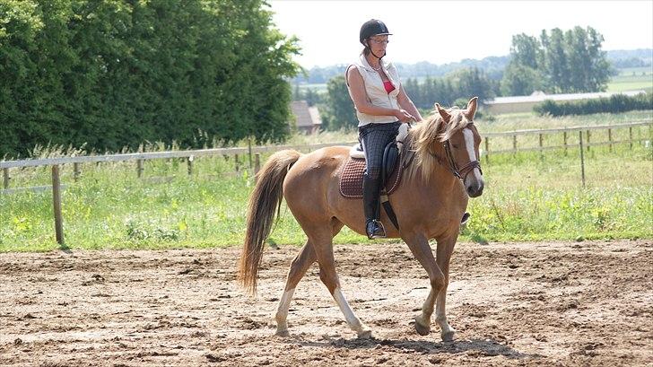 Anden særlig race Chiquita - Dybt koncenterret billede 13