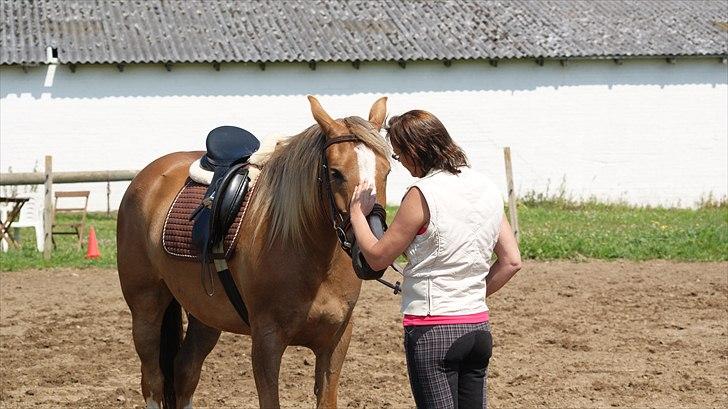 Anden særlig race Chiquita - Må bare pille ved hende hele tiden. billede 14