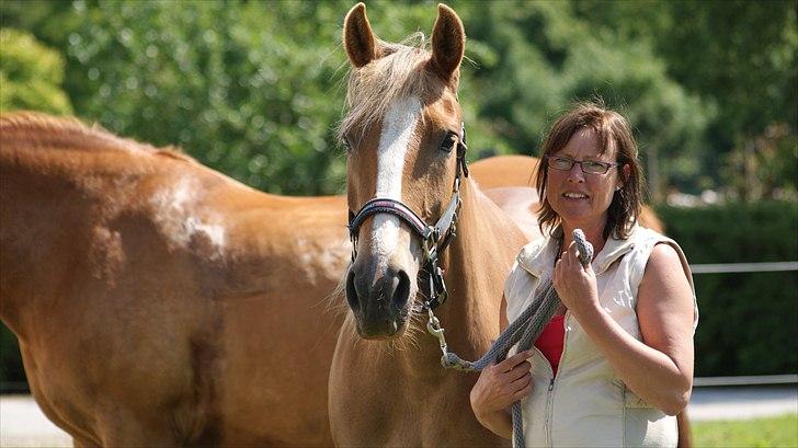 Anden særlig race Chiquita billede 17