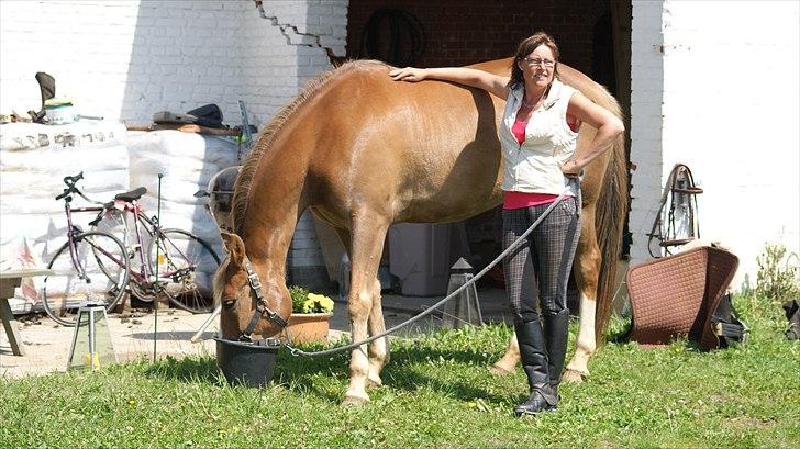 Anden særlig race Chiquita - Det er jo lige min størrelse hest billede 18