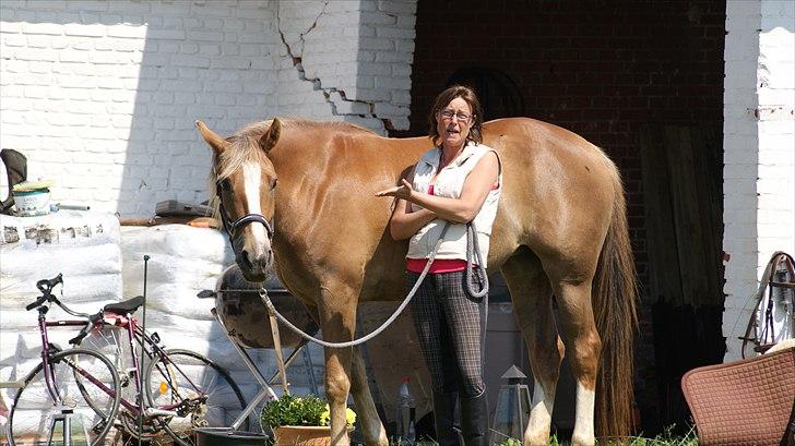 Anden særlig race Chiquita - Mine damer og herrer. Må jeg præsentere. Chiquita billede 19