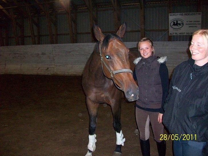 Anden særlig race Rapsodia - Da vi var oppe og se hende første gang :) billede 2