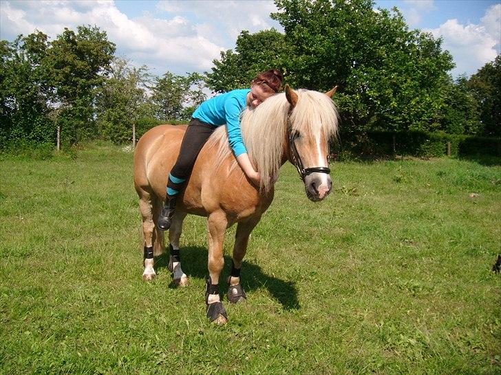 Tyroler Haflinger Story - ridning og heste er ikke en sport og et dyr. det er en livsstil, et evigt venskab og fantastiske minder for altid!:* billede 3