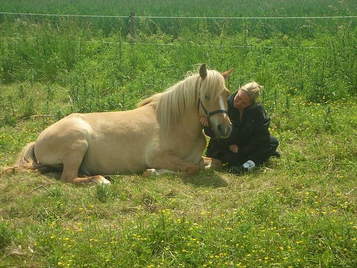 Anden særlig race spencer billede 7