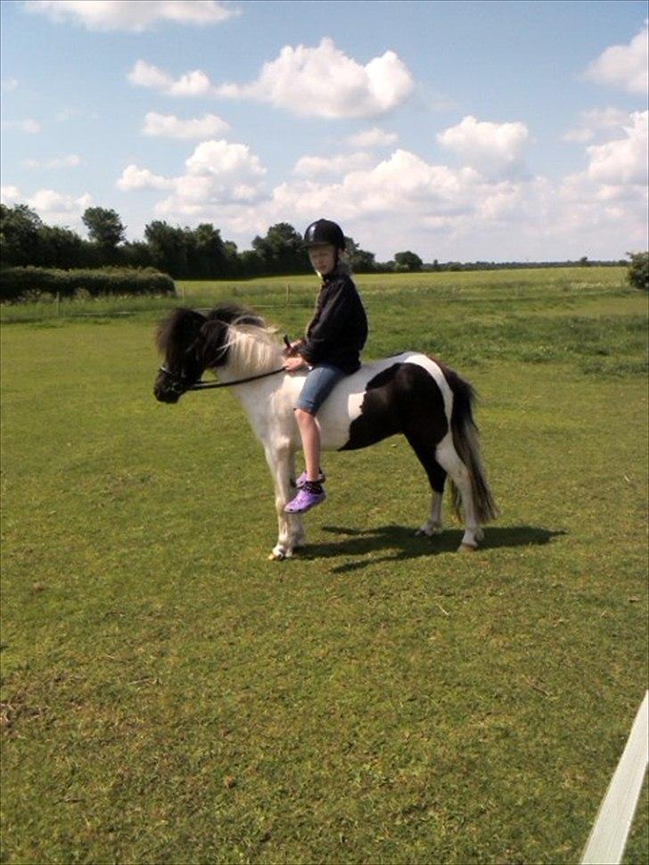 Anden særlig race Czami<3 - Velkommen til Czami´s profil<3



Her rider Czami og mig<3 billede 1