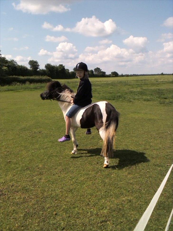 Anden særlig race Czami<3 - Her rider Czami og mig<3 billede 3