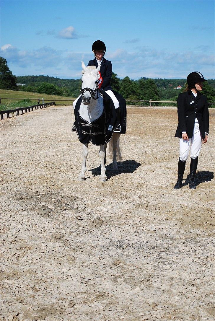 Anden særlig race Miss Chili R.I.P 2/2-12:'(<3 - Klubmester 2009 en uforglemlig dag :D
I miss you:'( You have take a part off my heart with you:')<3<3<3 I love you R.I.P:'(<3<3<3 billede 9