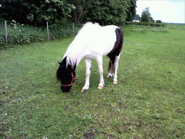 Anden særlig race Czami<3 - jeg elsker dig Czami<3 billede 11