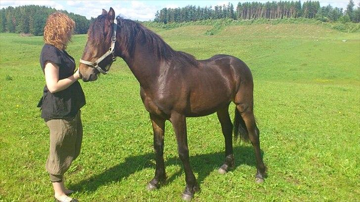 Anden særlig race Luchano (solgt) - Juni 2011. Her står Sascha med Luchano som nu er 1 år gammel. <3 billede 20