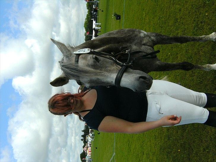 Arabisk fuldblod (OX) Cassie ox billede 19