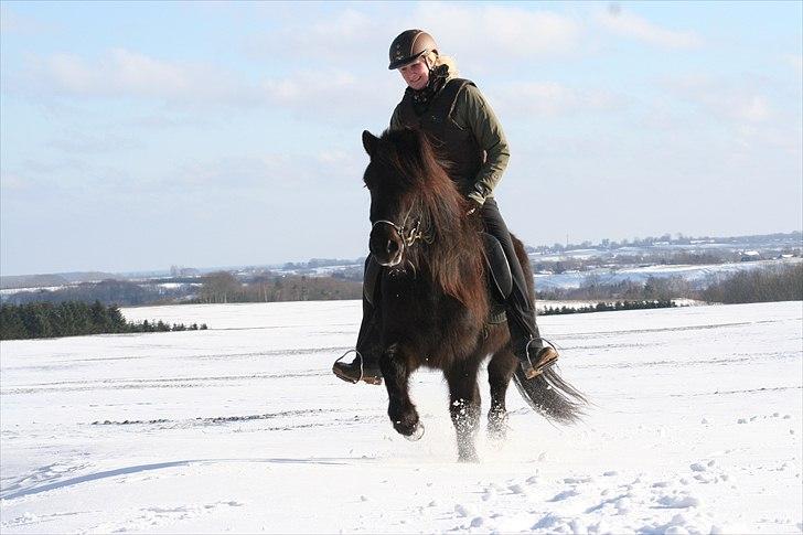 Islænder Pila fra Haurholm - Pila og mig i sneen februar 2011 billede 6