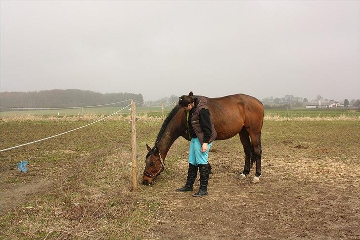 Fuldblod (XX) Tramal *Soulmate* - jeg elsker og savner dig basse! <3 billede 20