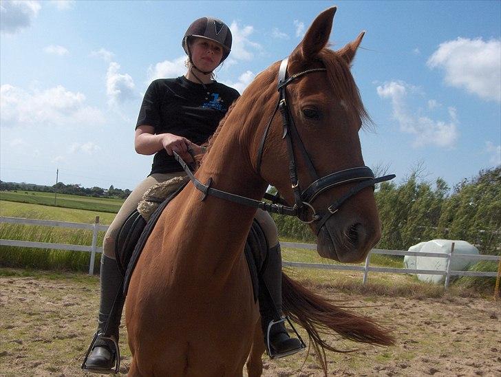 Traver Højvangen´s Play (solgt) billede 1