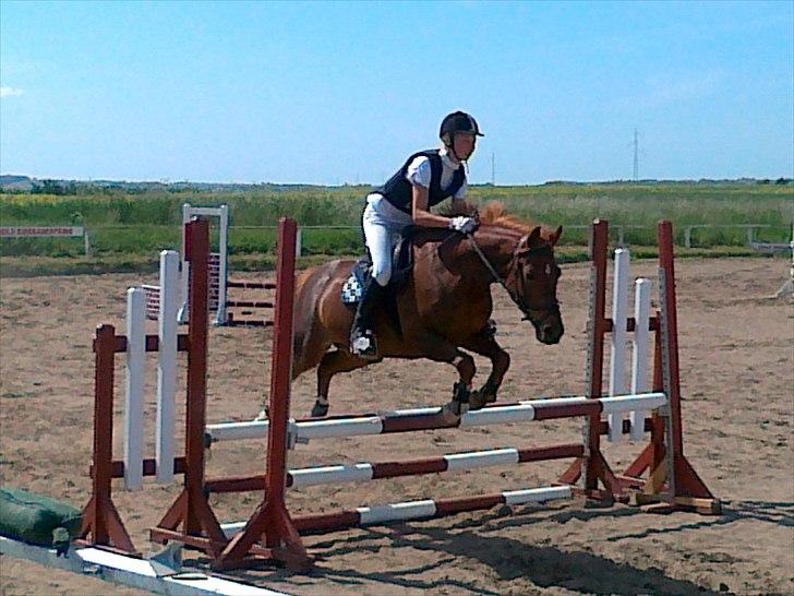 DSP Moonlight- Solgt billede 2