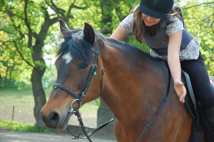 New Forest Moonlight    (rider) - 
jeg elsker dig pony<3 billede 10