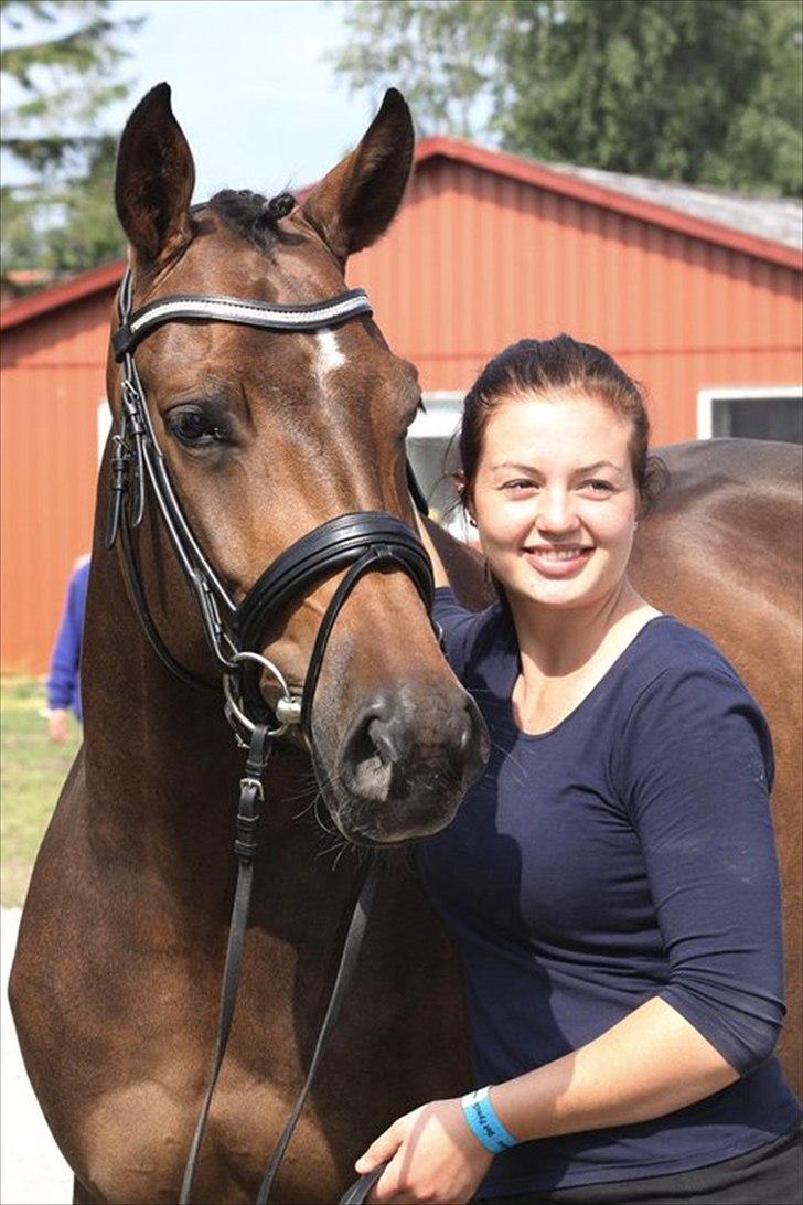 Dansk Varmblod Møllegårdens Kobana RDH - Soen og koen <3 Foto: Kristina Outzen billede 4