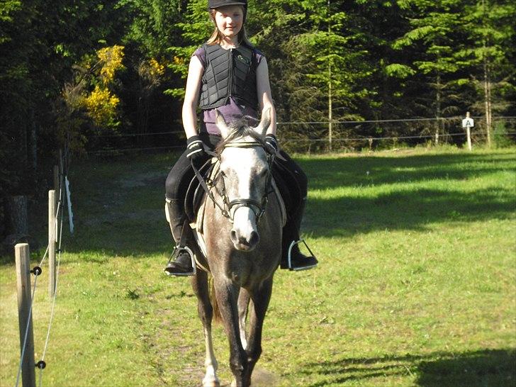 Anden særlig race Seruphus' Diddl - juni 2011 billede 13