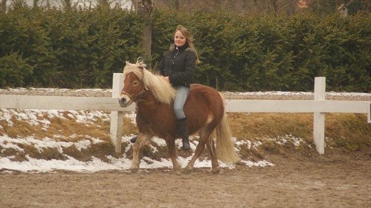 Anden særlig race Lukas - Stolede 100% på dig<3 billede 11