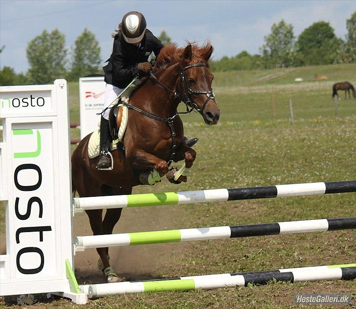 DSP Chanell billede 1