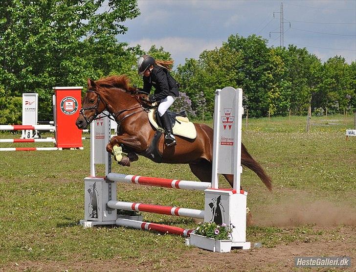 DSP Chanell billede 2