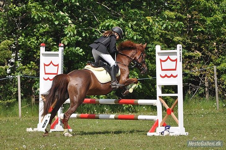 DSP Chanell billede 3