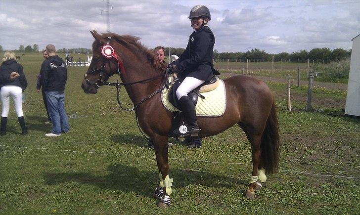 DSP Chanell billede 4