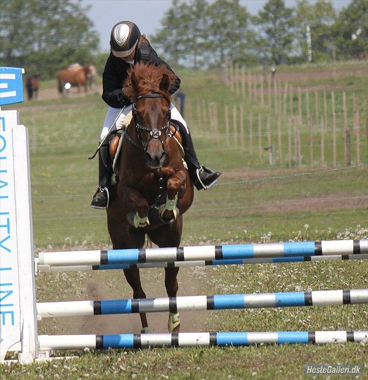 DSP Chanell billede 5