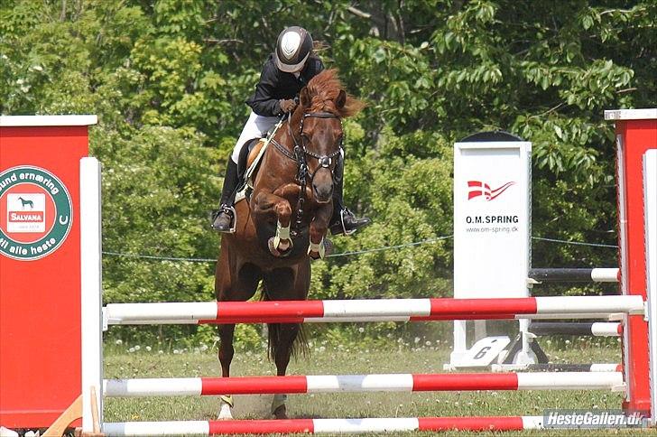 DSP Chanell billede 6