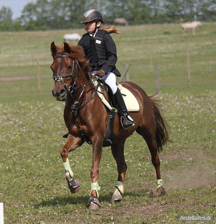 DSP Chanell billede 7