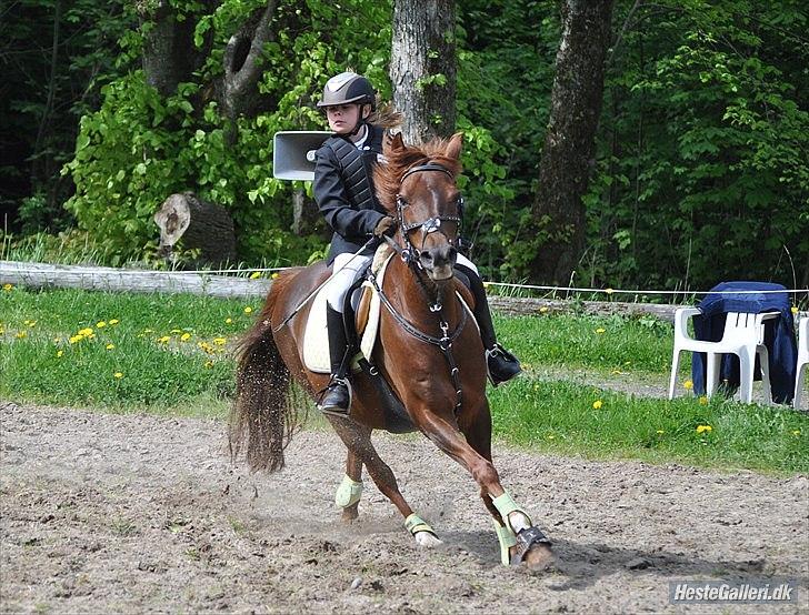 DSP Chanell billede 8