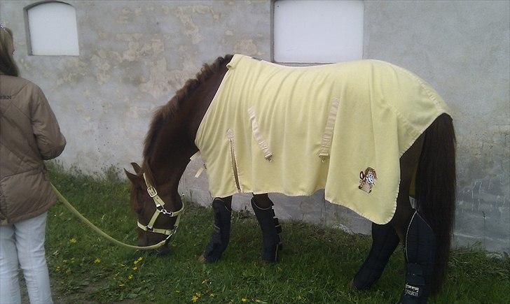 DSP Chanell billede 9