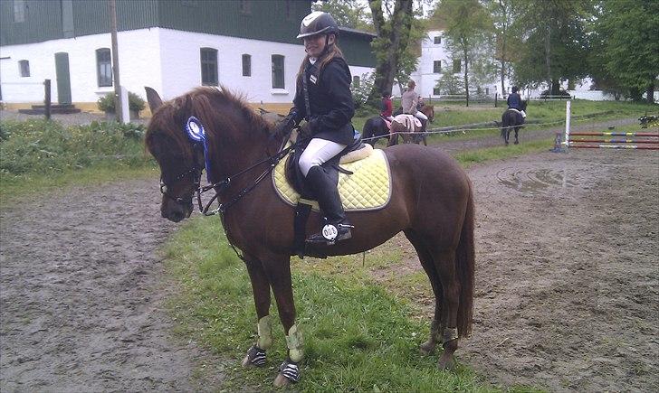 DSP Chanell billede 10