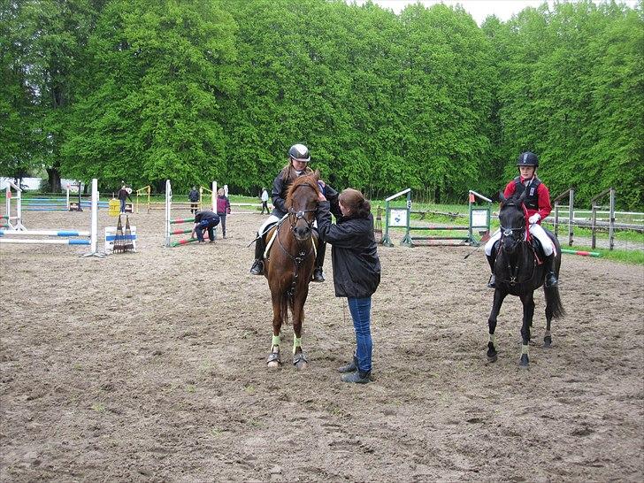 DSP Chanell billede 11