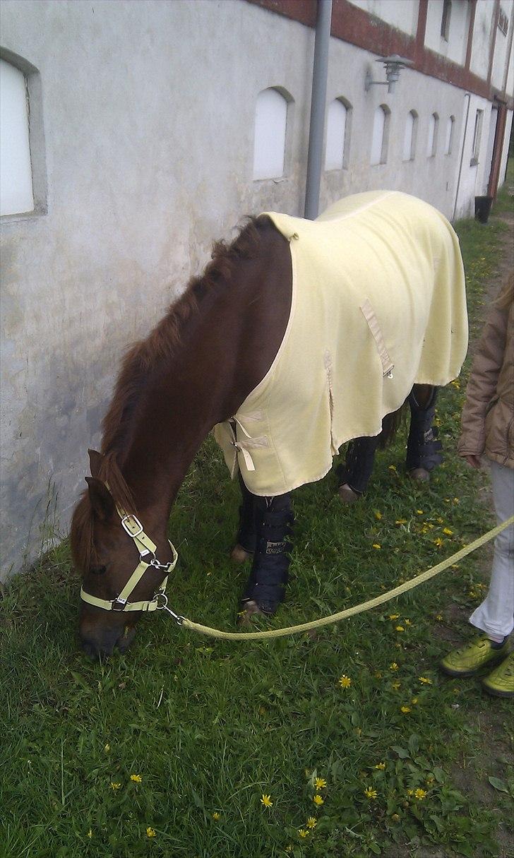 DSP Chanell billede 12